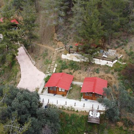 Bosco Paradiso Лимасол Экстерьер фото