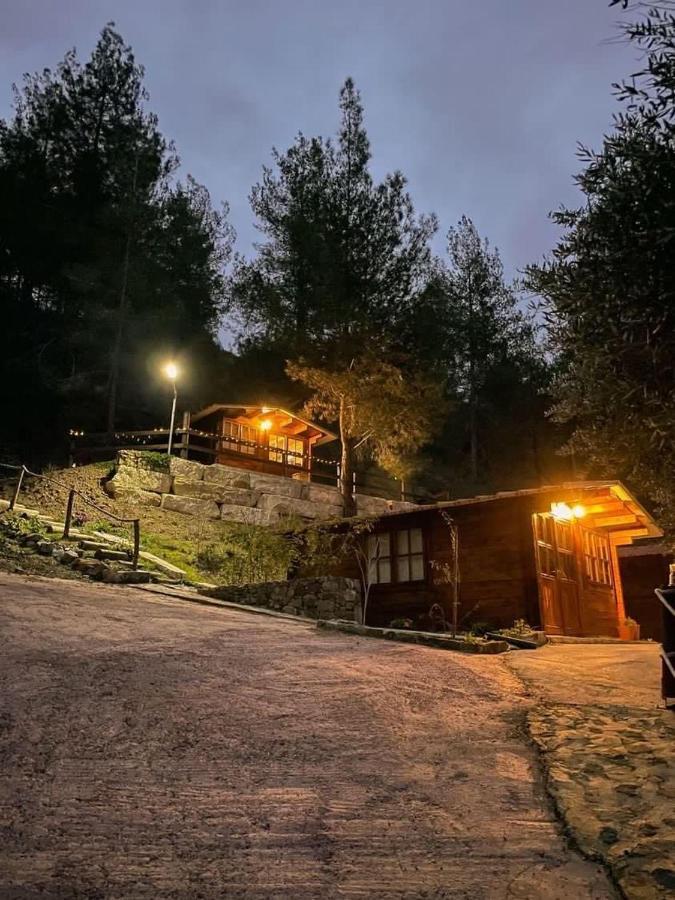 Bosco Paradiso Лимасол Экстерьер фото