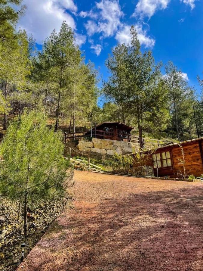 Bosco Paradiso Лимасол Экстерьер фото